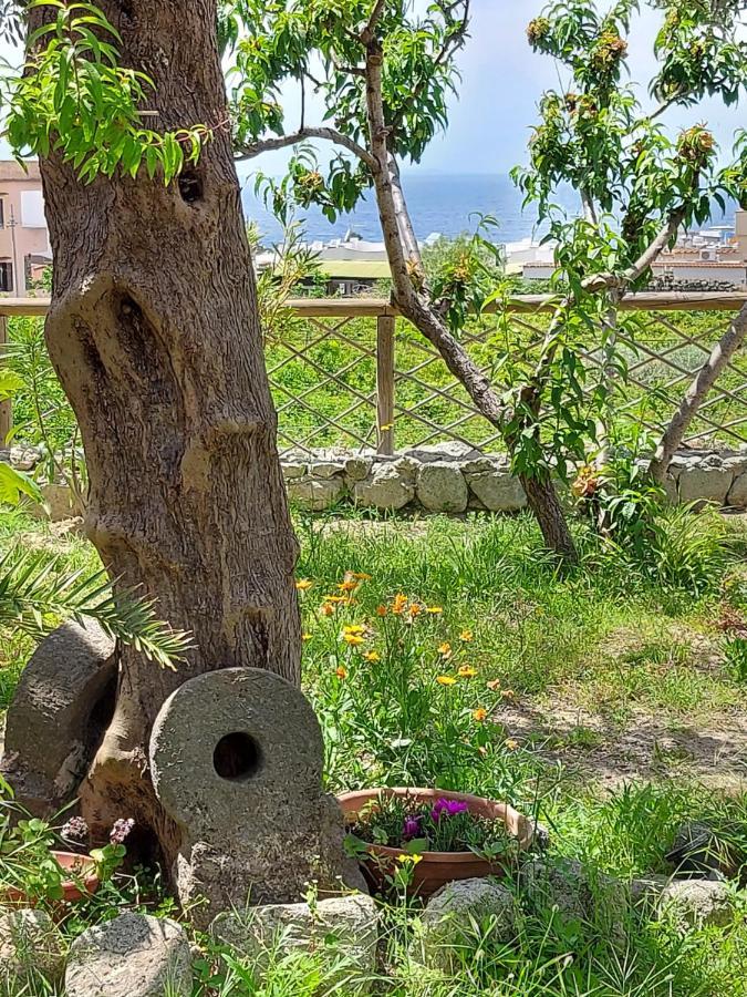Villa Symphony Sea View Forio di Ischia Εξωτερικό φωτογραφία