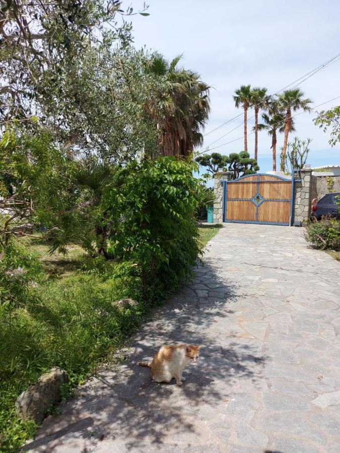 Villa Symphony Sea View Forio di Ischia Εξωτερικό φωτογραφία