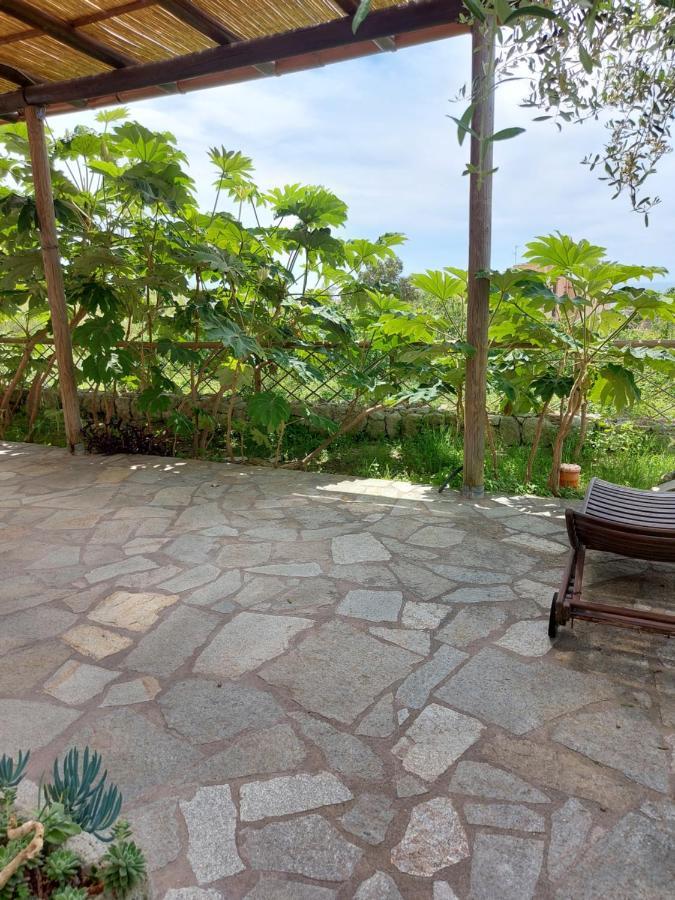 Villa Symphony Sea View Forio di Ischia Εξωτερικό φωτογραφία