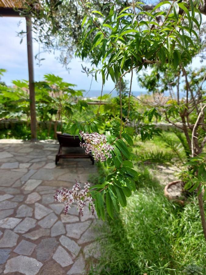 Villa Symphony Sea View Forio di Ischia Εξωτερικό φωτογραφία