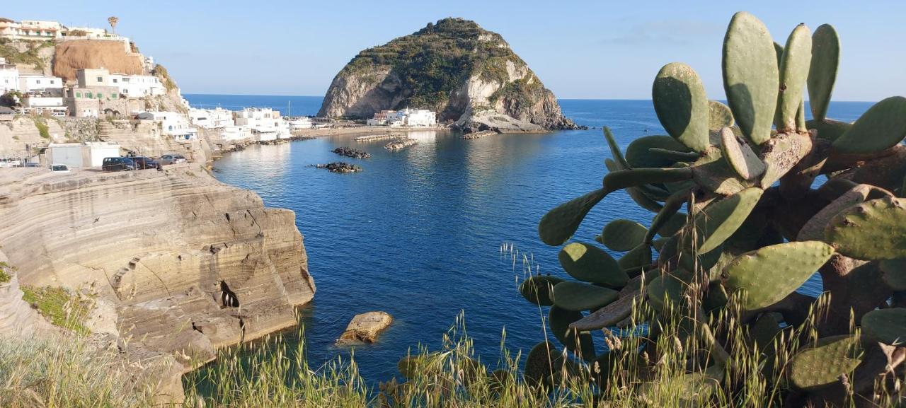 Villa Symphony Sea View Forio di Ischia Εξωτερικό φωτογραφία