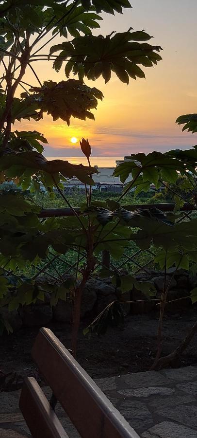 Villa Symphony Sea View Forio di Ischia Εξωτερικό φωτογραφία