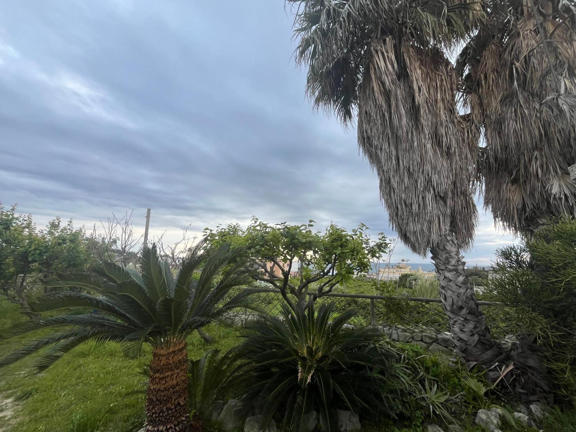 Villa Symphony Sea View Forio di Ischia Εξωτερικό φωτογραφία