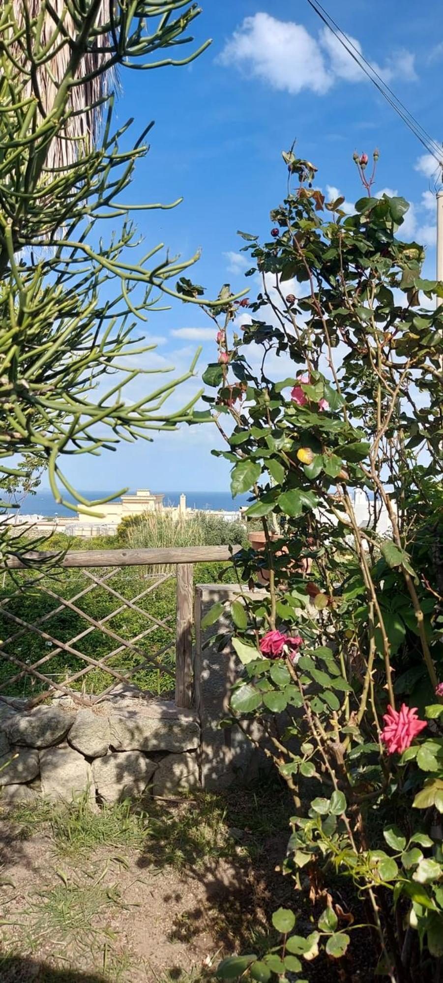 Villa Symphony Sea View Forio di Ischia Εξωτερικό φωτογραφία