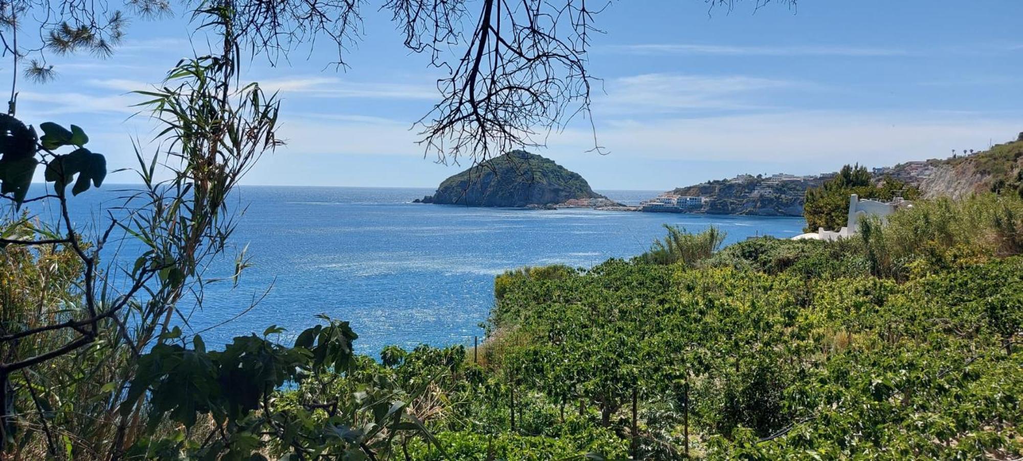 Villa Symphony Sea View Forio di Ischia Εξωτερικό φωτογραφία